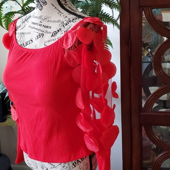 NWOT Gorgeous red applique mesh lantern sleeve top - Picture 5 of 6